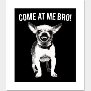 Come At Me Bro Chihuahua Dog Lover Dogs Posters and Art